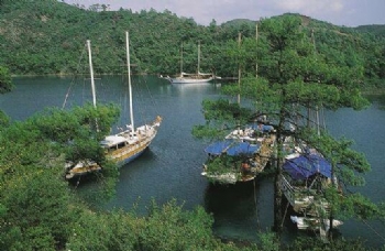 Longoz Bay